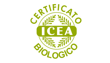 ICEA Logo
