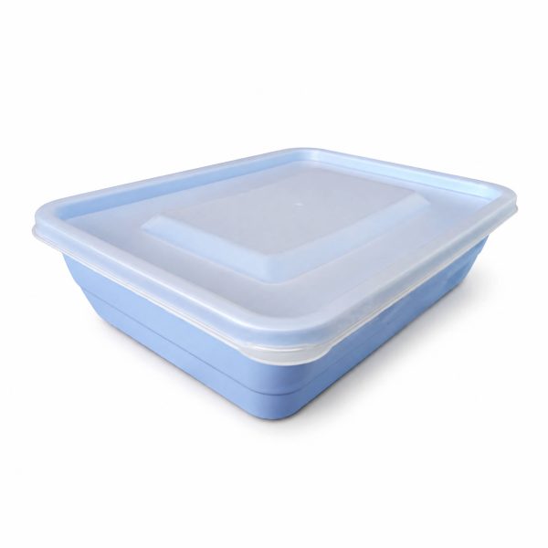 Medium Square Container and Lid